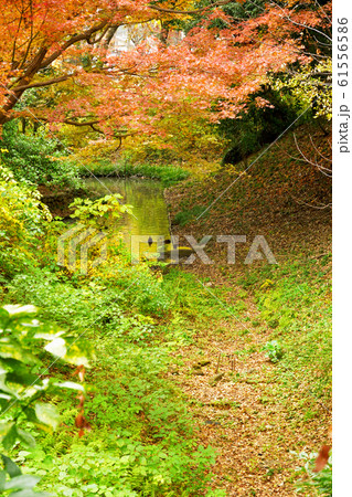 川越散歩:仙波東照宮葵公園 川越散歩:仙波東照宮葵公園 61556586
