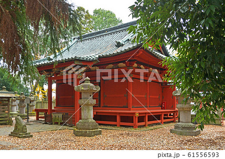 川越散歩：拝殿　仙波東照宮 61556593