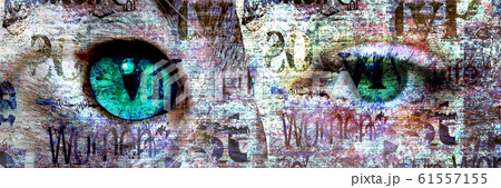 Mixed media. Contemporary art fashion catwoman 61557155