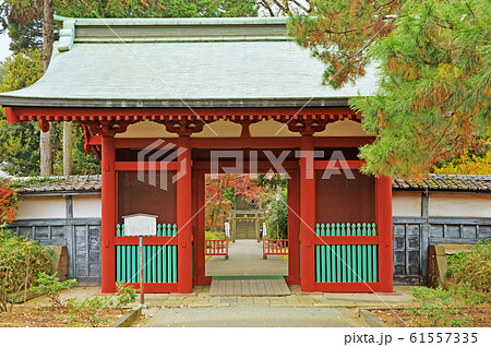川越散歩：随身門　仙波東照宮 61557335