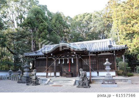 八所御霊神社 八所御霊神社 61557566