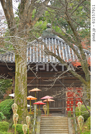 川越散歩:慈眼堂 星野山無量寿寺喜多院 川越散歩:慈眼堂 星野山無量寿寺喜多院 61557911