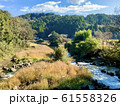 宮崎県都城市　関之尾の滝から眺めた景色 61558326