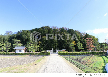 佐紀高塚古墳 佐紀高塚古墳 61558427