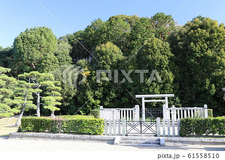 佐紀高塚古墳 61558510