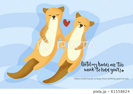 Otter aquatic couple swimming together. Otter aquatic couple swimming together. 61558624