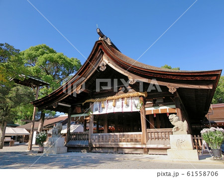 尾張大國霊神社拝殿 61558706