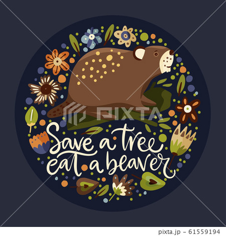 Cartoon cute beaver forest vector animal 61559194