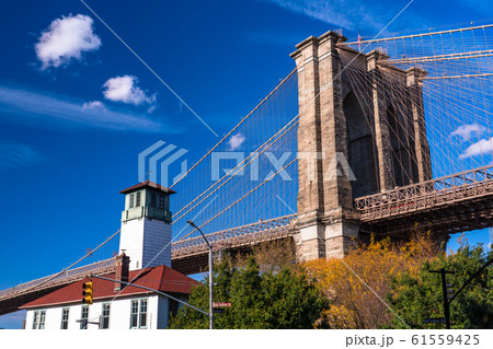 《ニューヨーク》ブルックリンブリッジ 61559425