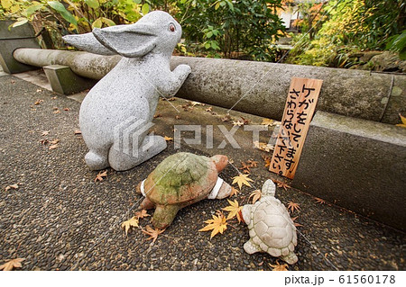 鎌倉明月院 鎌倉明月院 61560178
