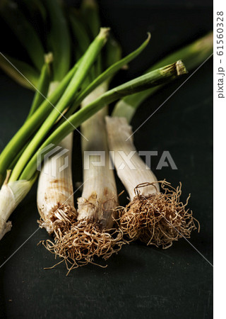 raw calcots, sweet onions, typical of Catalonia, 61560328