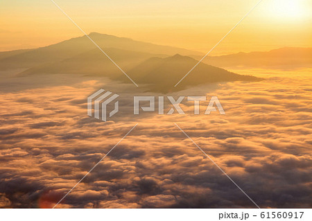 Landscape with the mist at Pha Tung mountain 61560917