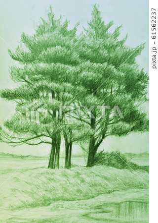 河原の木 グリーンのイラスト素材