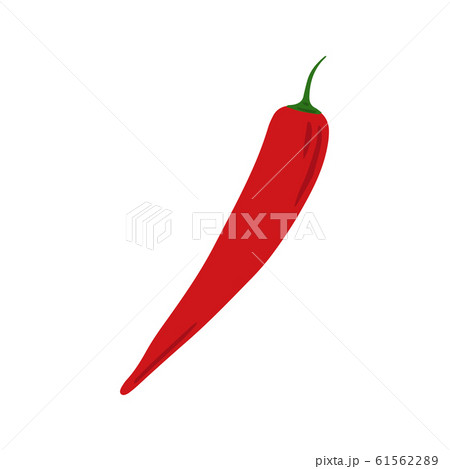 Doodle red chilli isolated on white background. Hand drawn cayenne pepper vegetable. 61562289