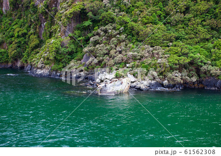 ミルフォード・サウンド　Milford Sound 61562308