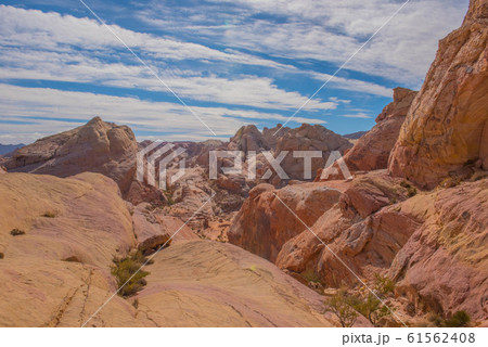 バレーオブファイヤ 61562408