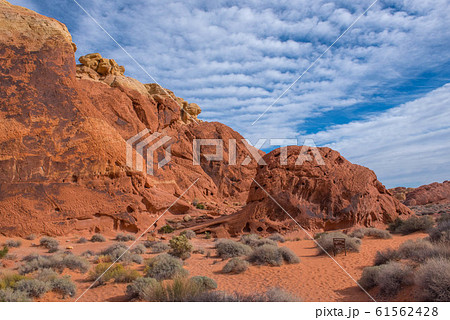 バレーオブファイヤ 61562428