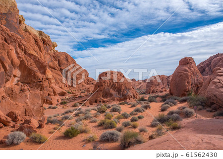 バレーオブファイヤ 61562430