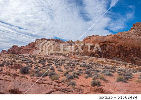 バレーオブファイヤ 61562434