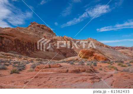 バレーオブファイヤ 61562435