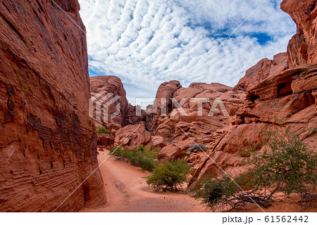 バレーオブファイヤ 61562442