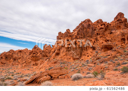 バレーオブファイヤ 61562486