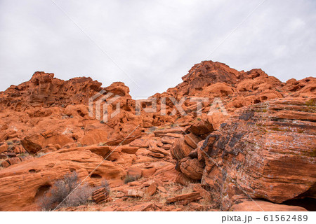 バレーオブファイヤ 61562489