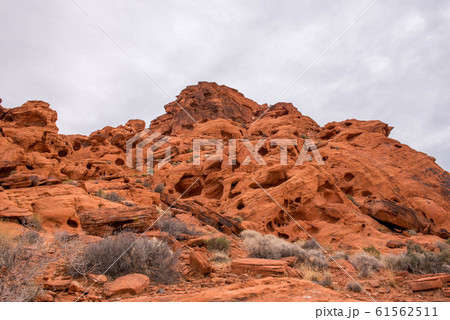 バレーオブファイヤ 61562511