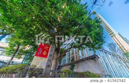 日本の東京都市景観 将門塚と大手町大規模複合開発「Otemachi One（大手町ワン）」などを望む 61562582