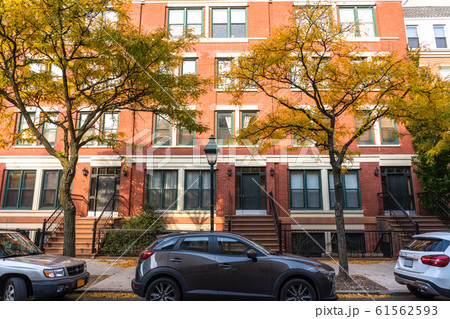《ニューヨーク》ブルックリンの閑静な住宅街 《ニューヨーク》ブルックリンの閑静な住宅街 61562593