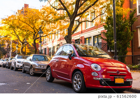 《ニューヨーク》ブルックリンの閑静な住宅街 61562600