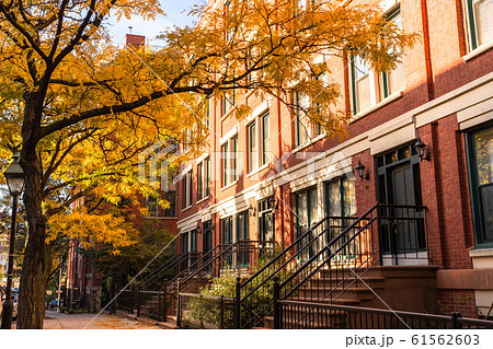 《ニューヨーク》ブルックリンの閑静な住宅街 《ニューヨーク》ブルックリンの閑静な住宅街 61562603