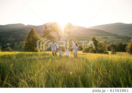 Young family with two small children walking on meadow outdoors at sunset. Young family with two small children walking on meadow outdoors at sunset. 61563861