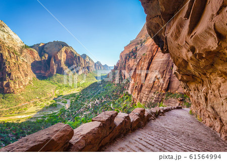 Angels landing hiking trail in Zion National Park, Utah, USA 61564994