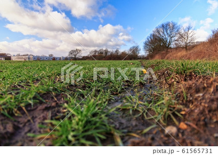 Plastic on an acre will weather to micro plastic and enter the food chain Plastic on an acre will weather to micro plastic and enter the food chain 61565731