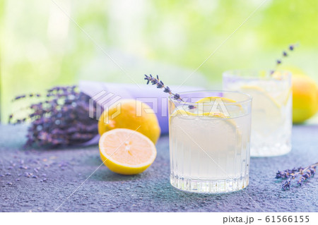 Lemonade with lemons and lavender Lemonade with lemons and lavender 61566155
