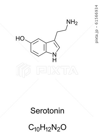 Serotonin molecule, skeletal formula. Structure - Stock