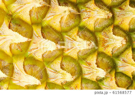 Peel of pineapples yellow color.texture abstract Peel of pineapples yellow color.texture abstract 61568577