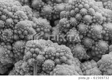 Detail of a Romanesco broccoli 61569732