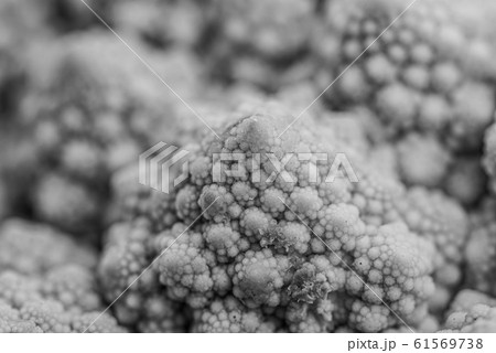 Detail of a Romanesco broccoli Detail of a Romanesco broccoli 61569738