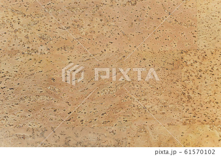 Pattern of yellow brown cork board furniture for interior flooring. 61570102