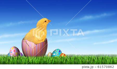 Easter Chick Egg Hunt 61570862