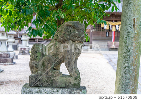 亀山神社2971 亀山神社2971 61570909