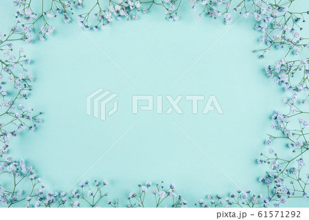 Beautiful flower background of blue gypsophila flowers. Beautiful flower background of blue gypsophila flowers. 61571292