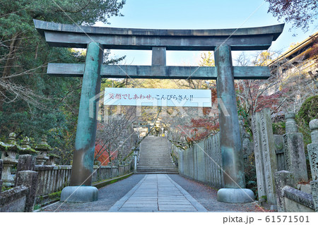 【金刀比羅宮 鳥居】 香川県仲多度郡琴平町 【金刀比羅宮 鳥居】 香川県仲多度郡琴平町 61571501