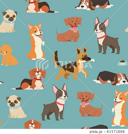 Dogs and puppies different breeds wrapping paper with husky, bulldog, schnuzer, spaniel vector seamless pattern illustration. Dogs and puppies different breeds wrapping paper with husky, bulldog, schnuzer, spaniel vector seamless pattern illustration. 61571666