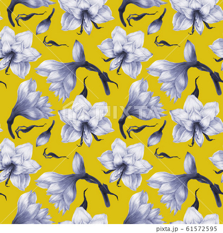Black and white hippeastrum yellow seamless 61572595