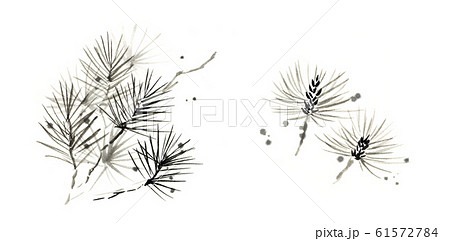 松の葉　水墨画 61572784