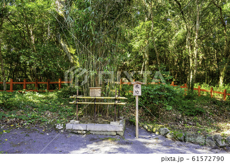 宇佐神宮　下宮　兆竹　大分県宇佐市 61572790