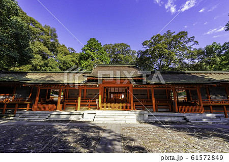宇佐神宮　下宮社殿　大分県宇佐市 61572849